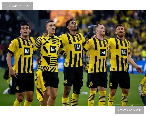 德甲劲旅阵容焕然一新，新星加盟引爆冠军争夺战