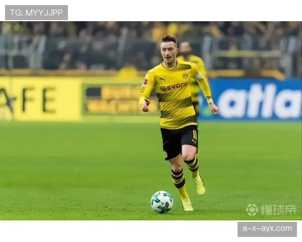 汉堡攻防平衡，近期表现稳健