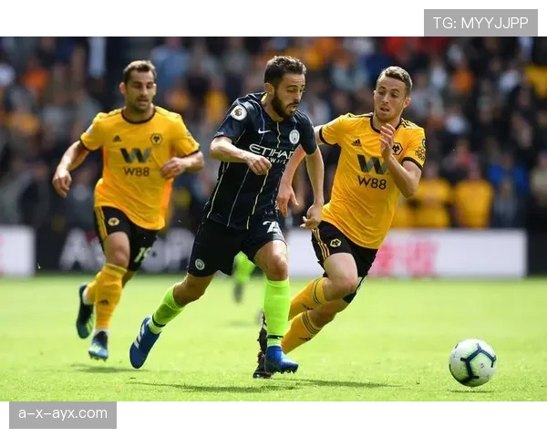 狼队整体实力表现稳健,当前赛季竞争力持续提升 狼队整体实力表现稳健,当前赛季竞争力持续提升