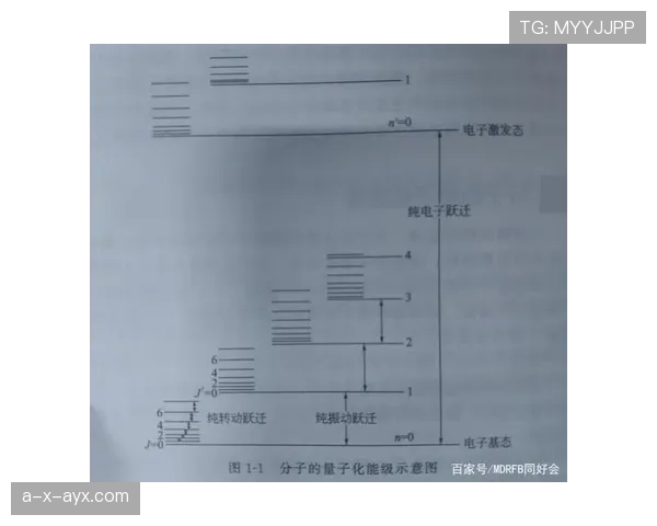 萨卡从新星到顶级边锋的数据跃迁解析